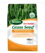 bermudagrass