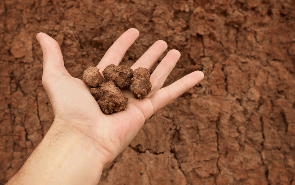 You have dense clay soil.​